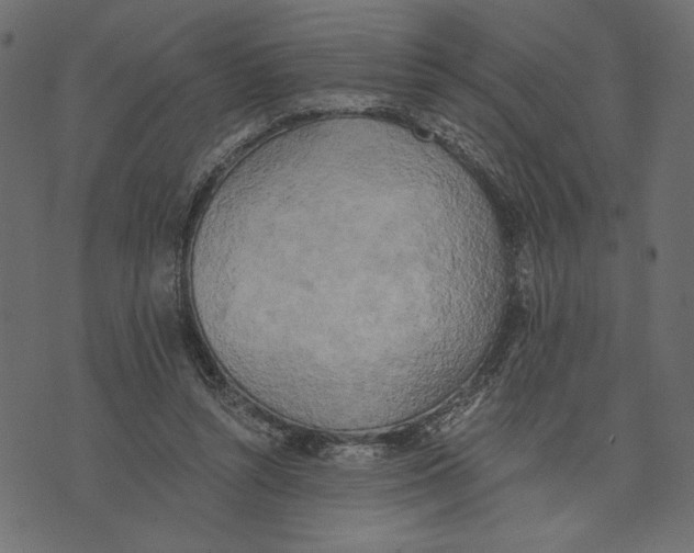 X0000072930352200608181322