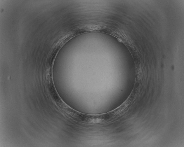 X0000072930360200608181322