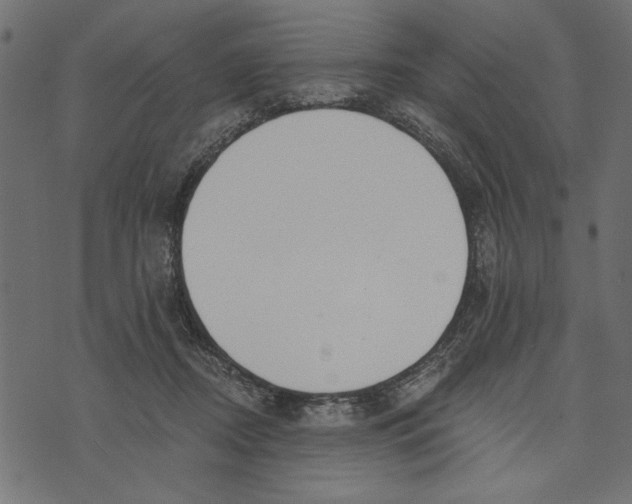 X0000072930362200608181322