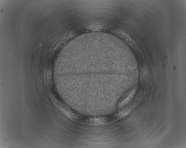 X0000072930365200608181322