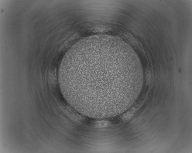 X0000072930376200608181322