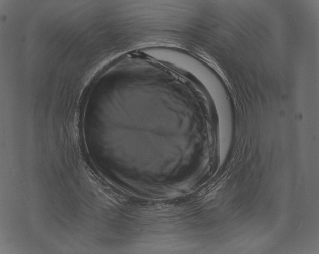 X0000072930387200608181321