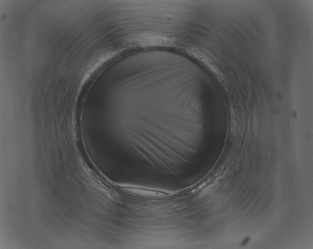 X0000072930391200608181321