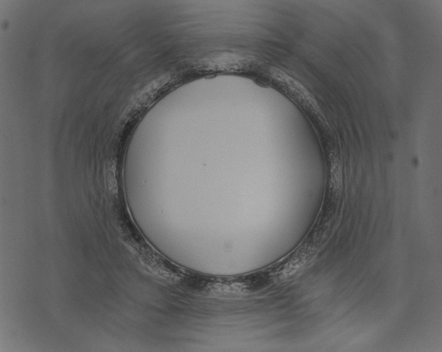 X0000072930403200608181321