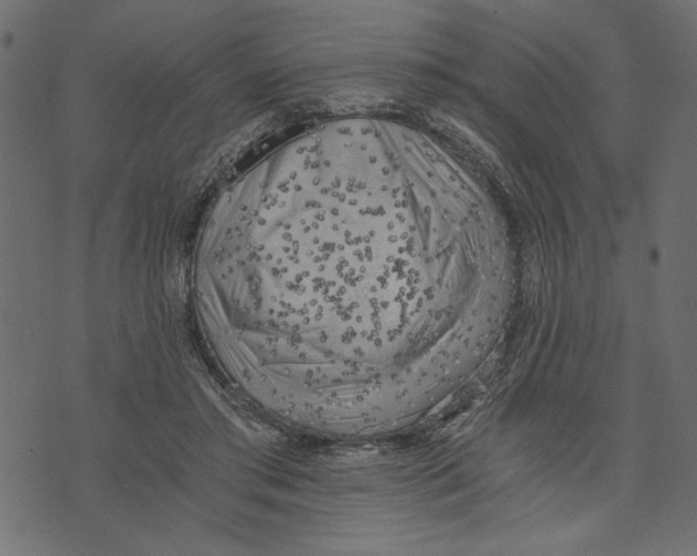 X0000072930405200608181321