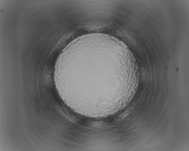 X0000072930408200608181321