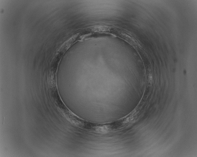 X0000072930411200608181321