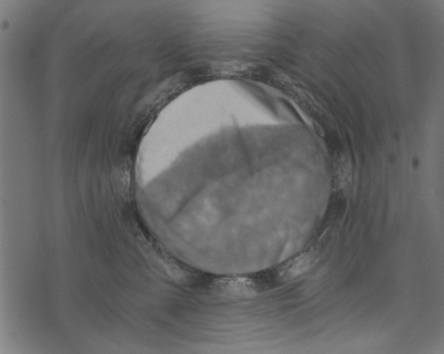 X0000072930427200608181321