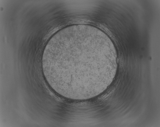 X0000072930433200608181320