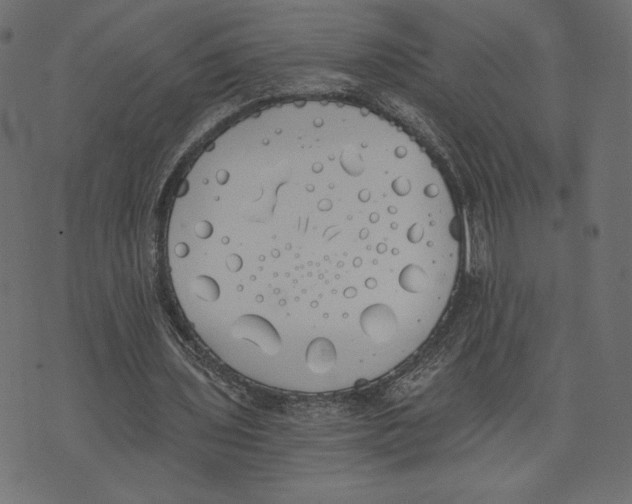 X0000072930435200608181320