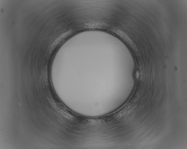X0000072930442200608181320