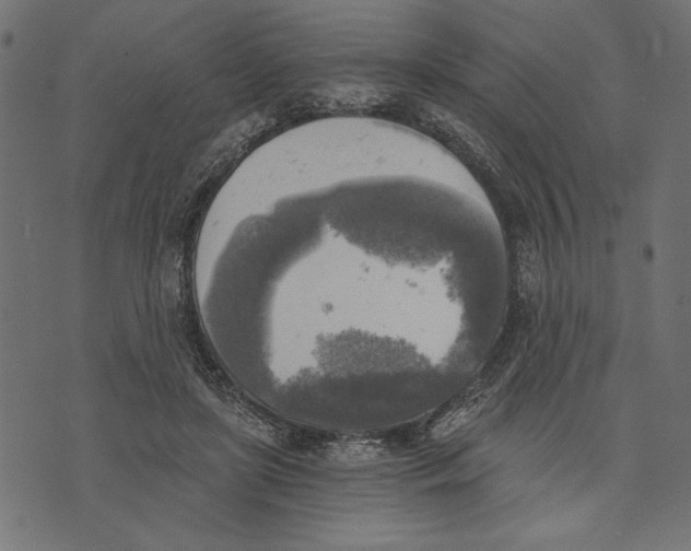 X0000072930451200608181320