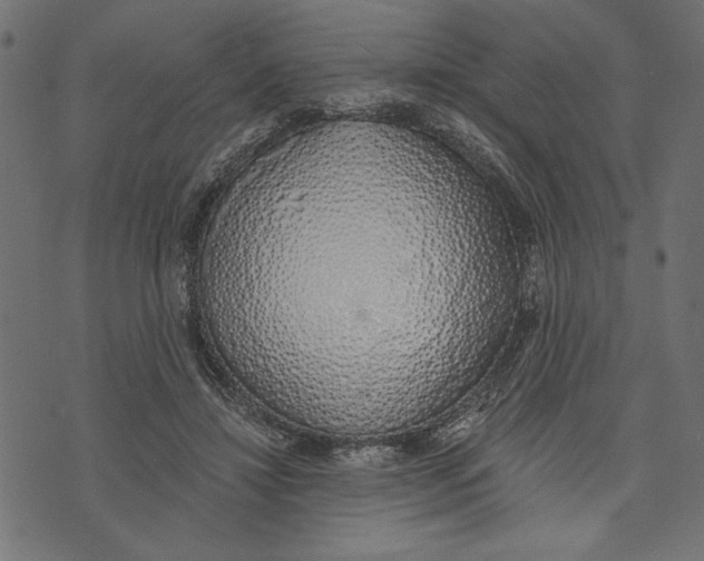X0000072930452200608181320
