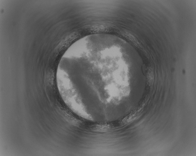 X0000072930458200608181320