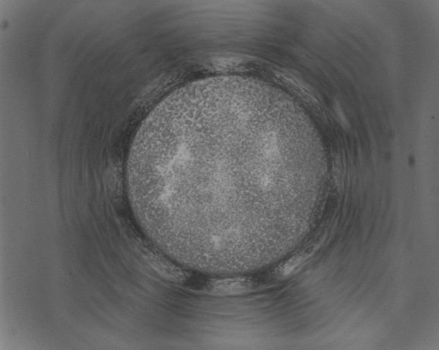 X0000072930461200608181320