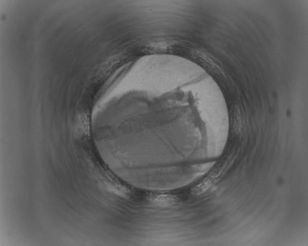 X0000072930467200608181320