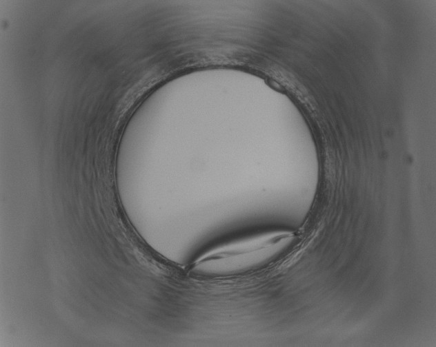 X0000072930481200608181320