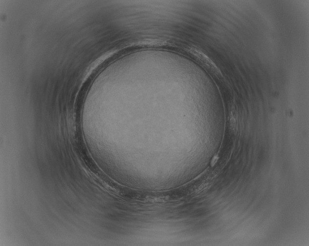 X0000072930484200608181320
