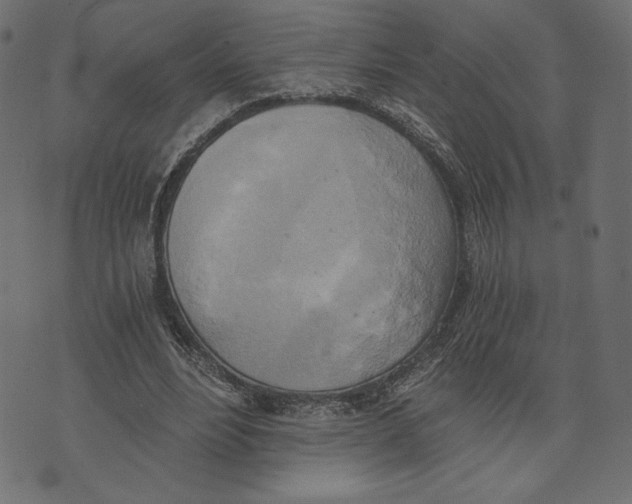 X0000072930488200608181320