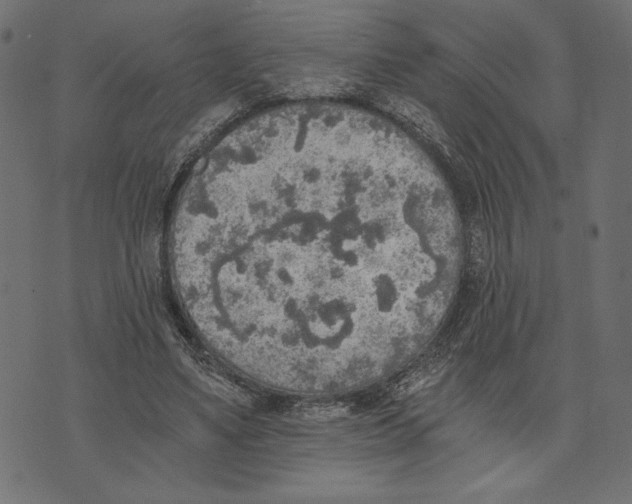 X0000072930491200608181320