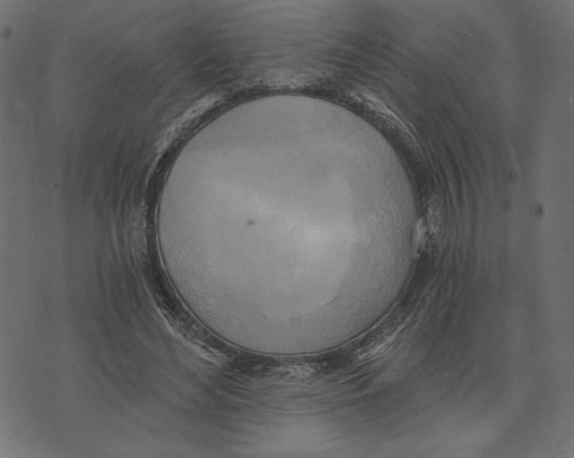 X0000072930492200608181320
