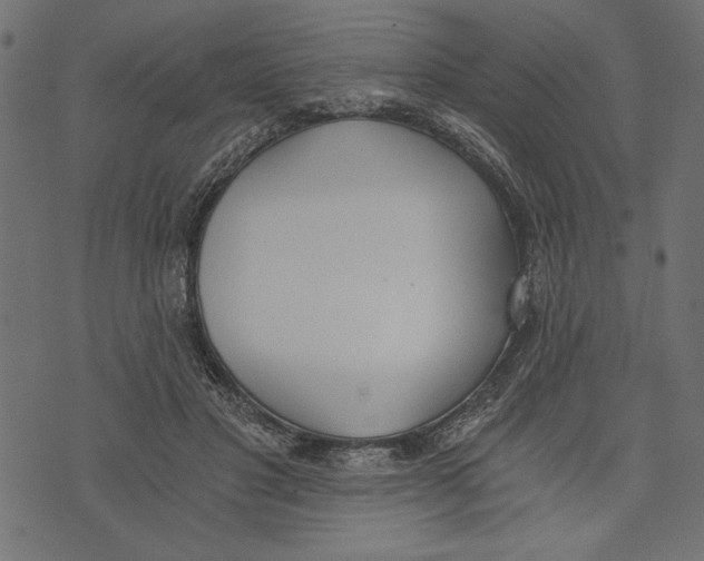 X0000072930501200608181319