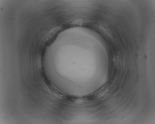 X0000072930504200608181319