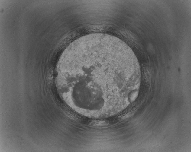 X0000072930507200608181319