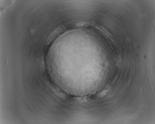 X0000072930524200608181319