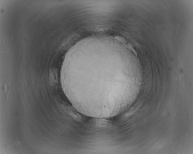 X0000072930528200608181319