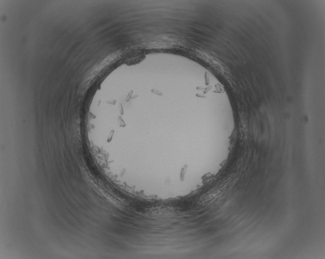 X0000072930535200608181318