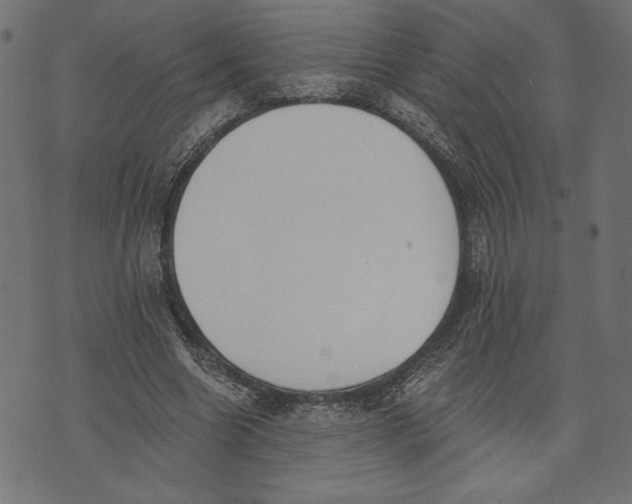 X0000072930538200608181318