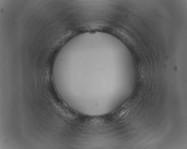 X0000072930546200608181318