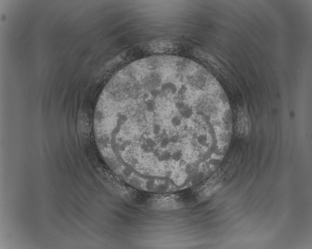 X0000072930569200608181319