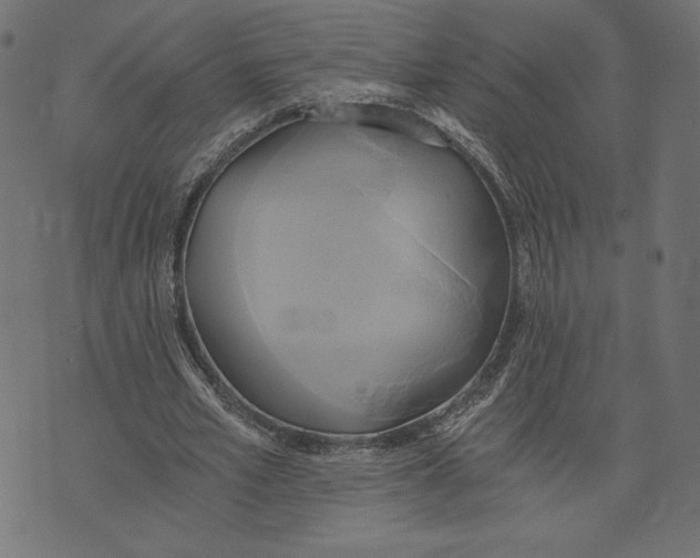 X0000072930581200608181318