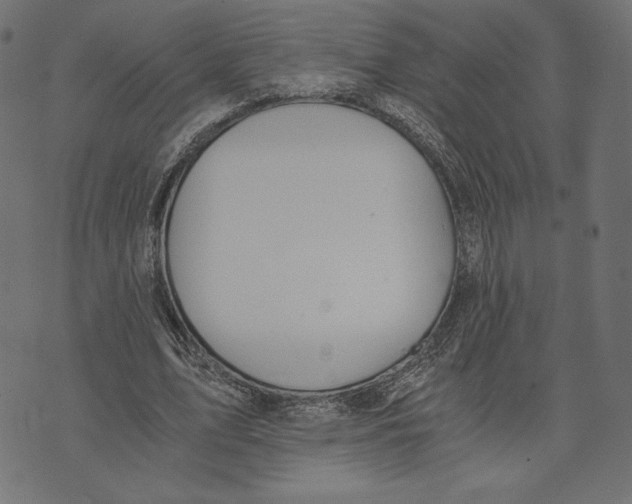X0000072930583200608181318