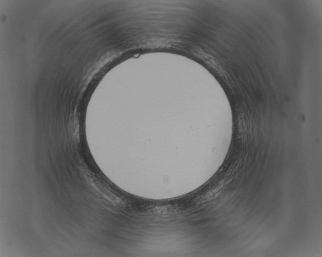 X0000072930584200608181318