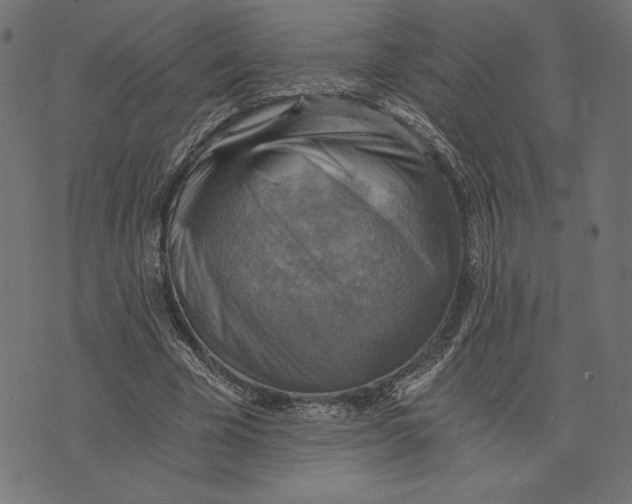 X0000072930585200608181318
