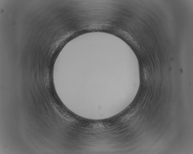 X0000072930588200608181318