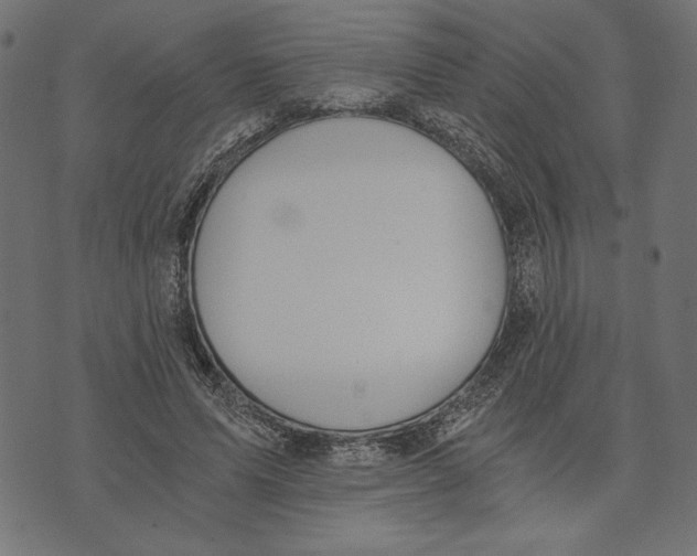 X0000072930591200608181318