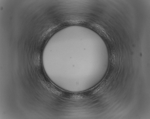 X0000072930596200608181318