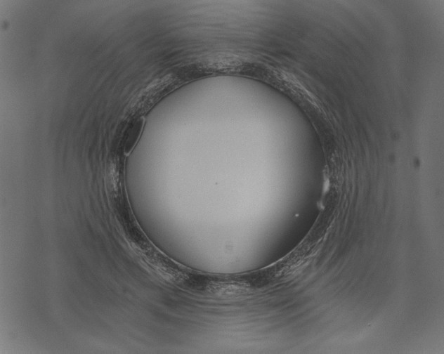 X0000072930597200608181318