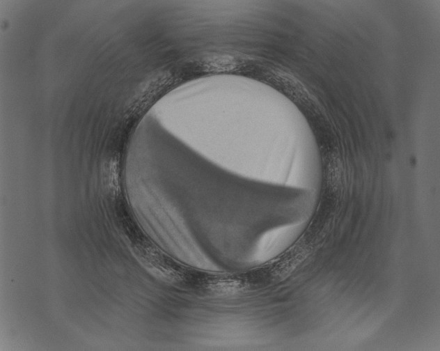 X0000072930598200608181318