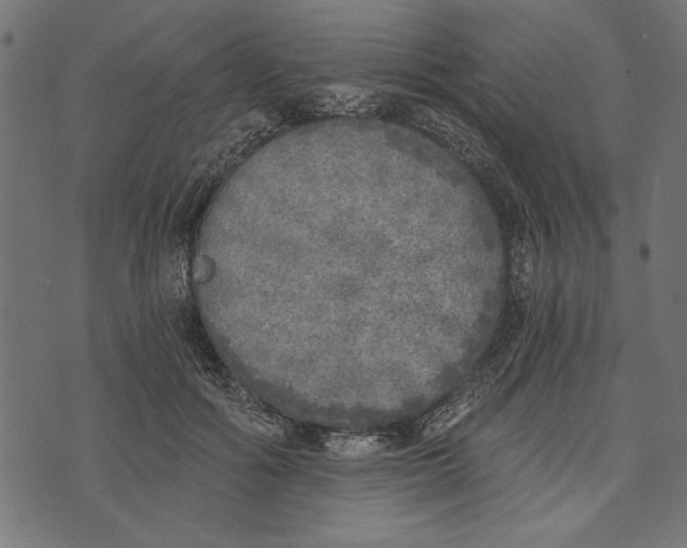 X0000072930602200608181318