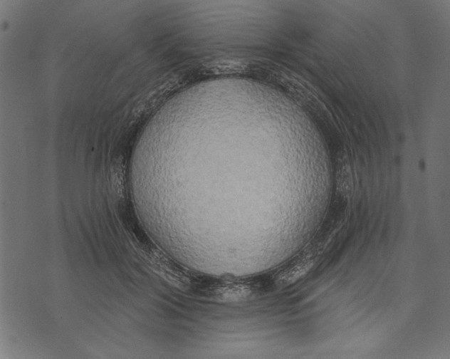 X0000072930604200608181318