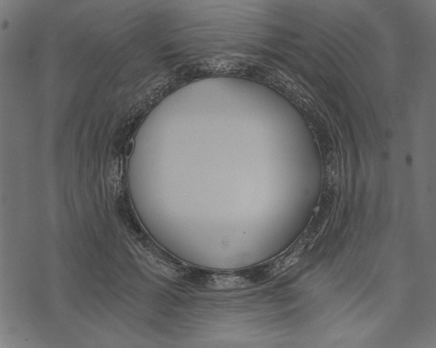 X0000072930605200608181318