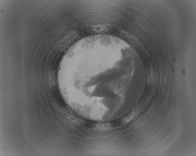 X0000072930606200608181318