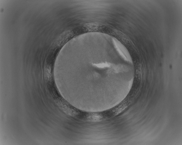 X0000072930610200608181318