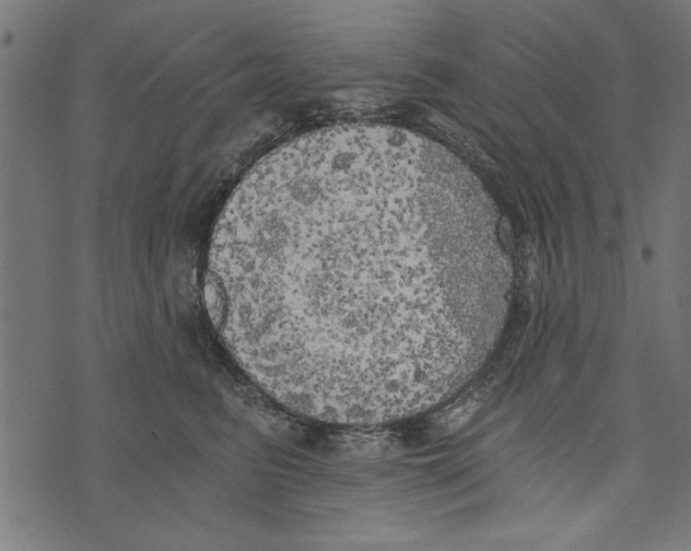 X0000072930615200608181317