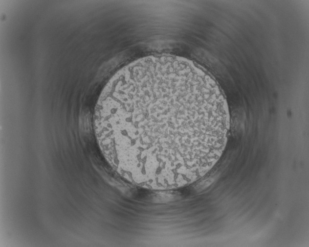 X0000072930623200608181317